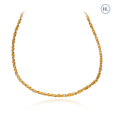 Savion Chain